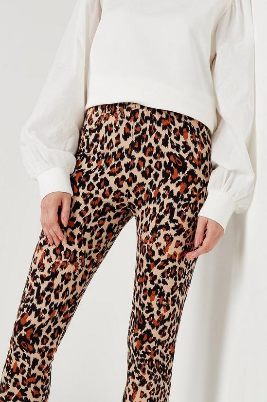 Wallis Leopard Print Leggings 4