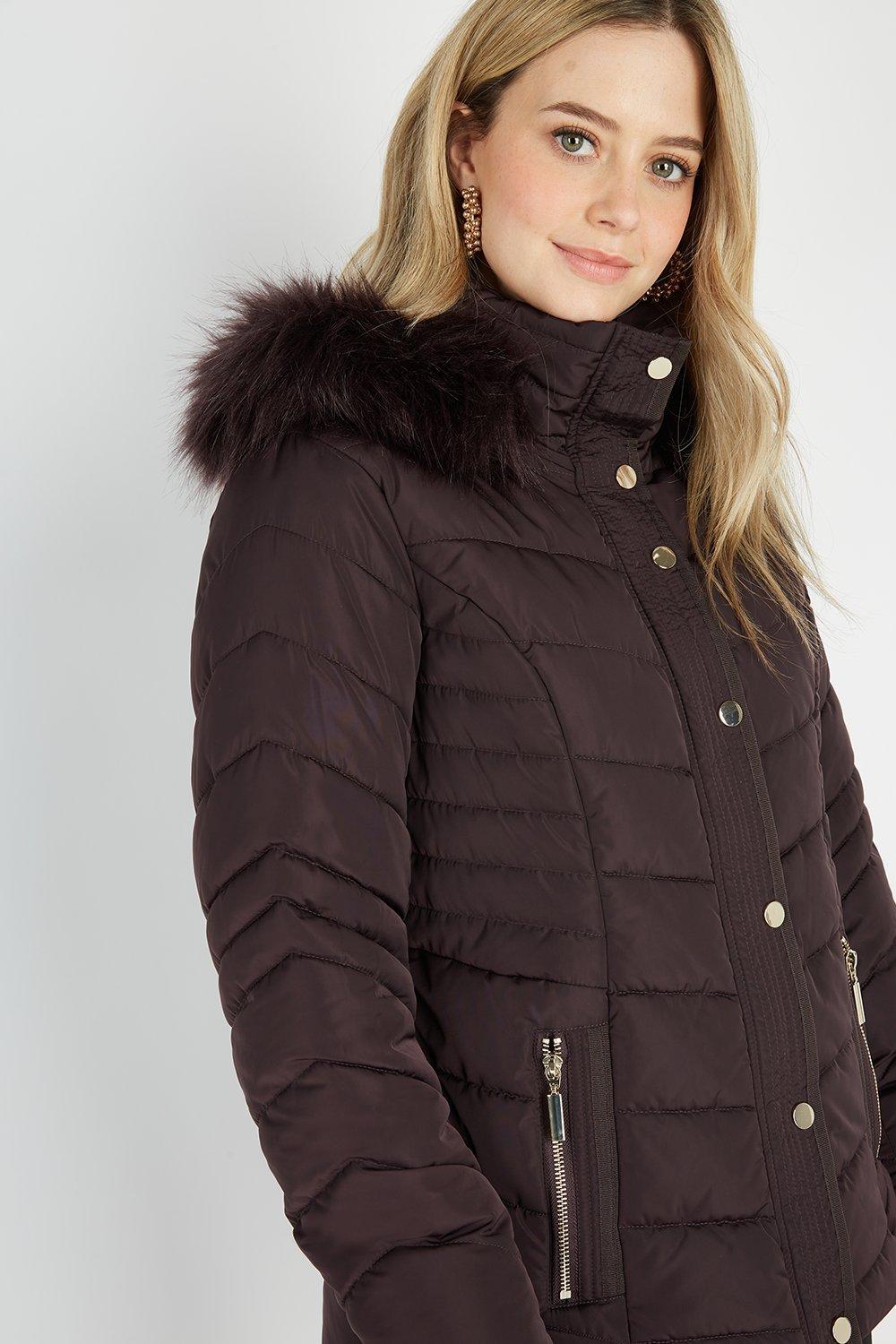 Wallis short hot sale padded coat