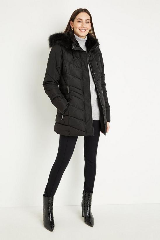 Wallis Tall Belted Short Padded Coat 2