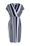 Wallis Petite Ink Stripe Jersey Wrap Dress thumbnail 5