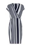 Wallis Ink Stripe Jersey Wrap Dress thumbnail 5