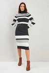 Wallis Multi Stripe Polo Neck Knitted Dress thumbnail 1