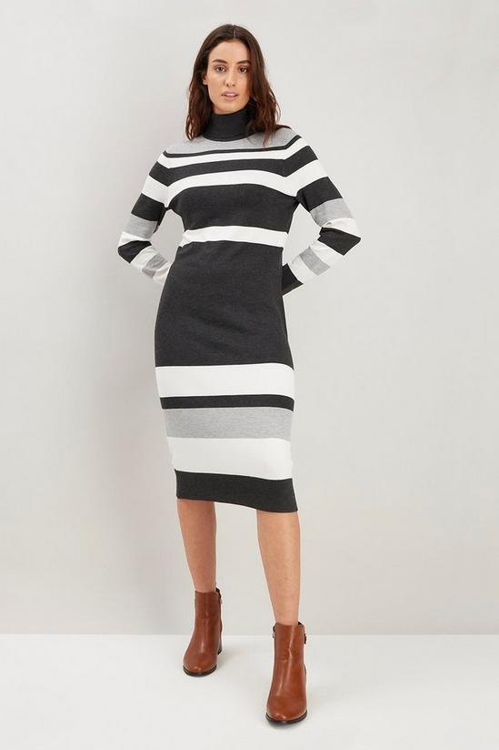 Wallis Multi Stripe Polo Neck Knitted Dress 1