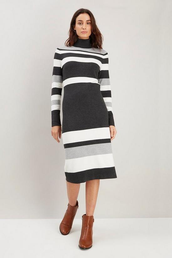 Wallis Multi Stripe Polo Neck Knitted Dress 2