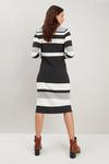 Wallis Multi Stripe Polo Neck Knitted Dress thumbnail 3