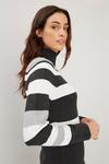 Wallis Multi Stripe Polo Neck Knitted Dress thumbnail 4