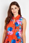 Wallis Red and Blue Floral Halter Dress thumbnail 4