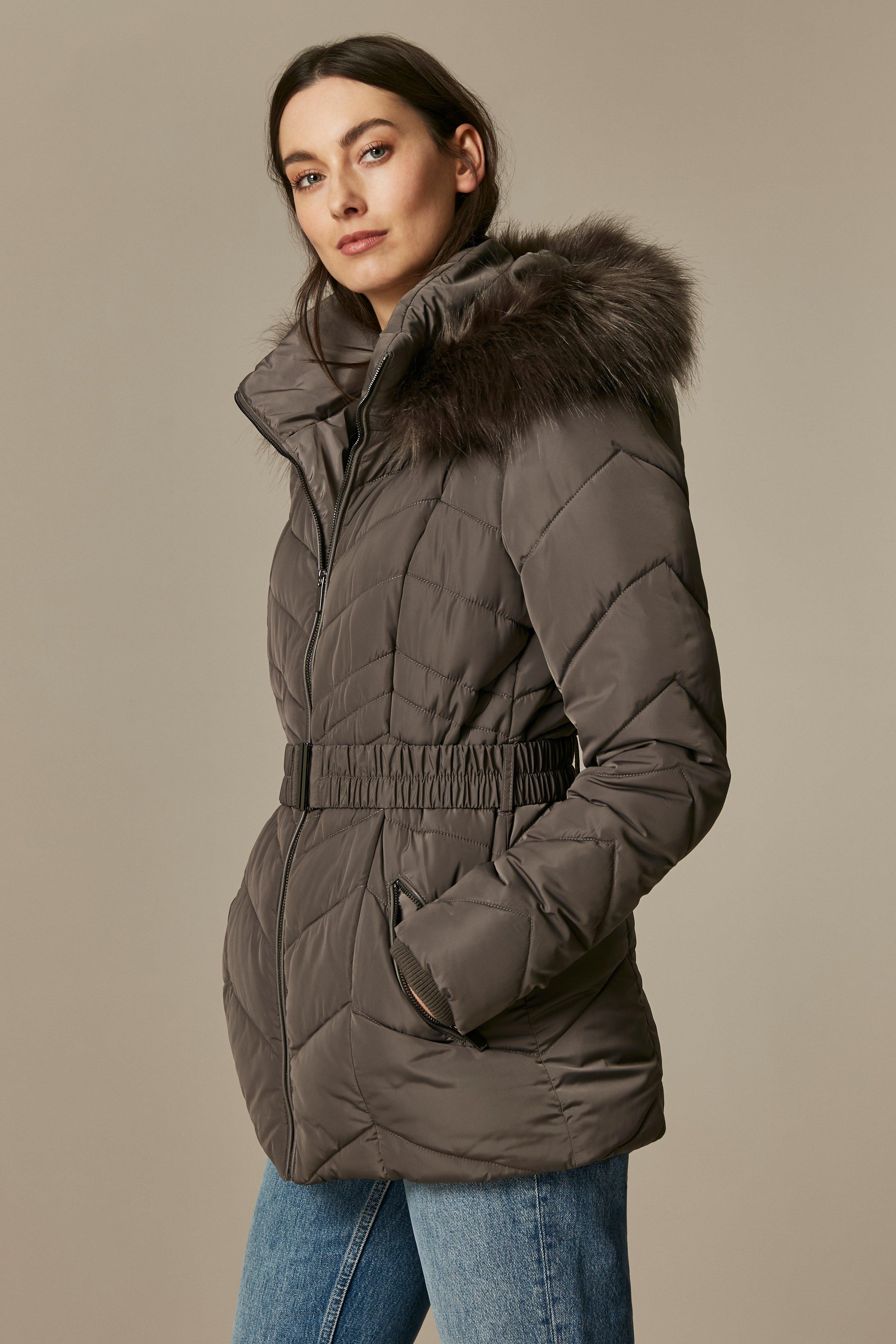 Wallis clearance padded jackets