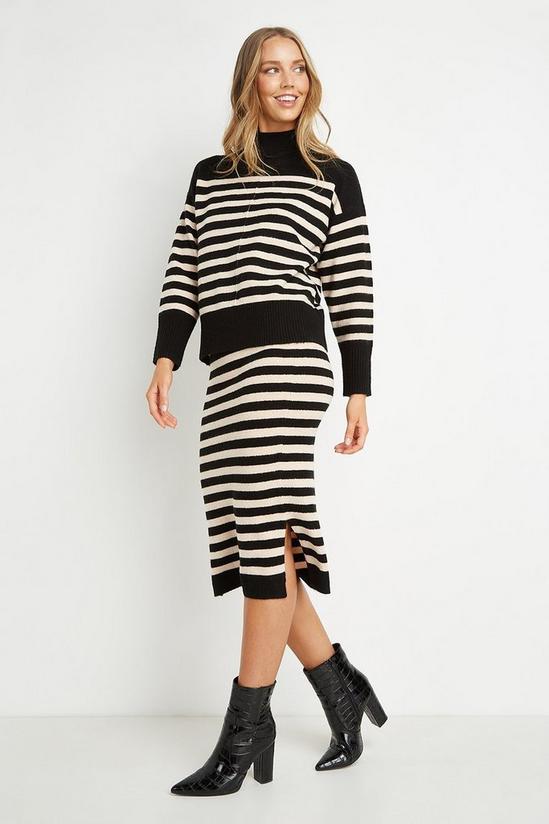 Wallis Stripe Knitted Skirt 2
