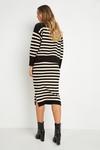 Wallis Stripe Knitted Skirt thumbnail 3
