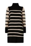 Wallis Petite Contrast Stripe Knitted Dress thumbnail 5