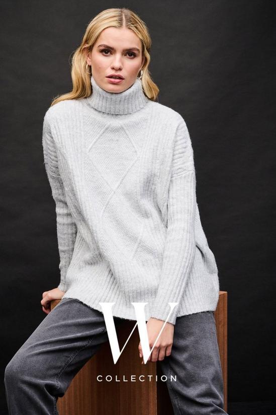 Wallis Cable Knit Roll Neck Boxy Jumper 1