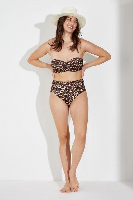 Wallis Leopard High Waist Bikini Bottoms 2