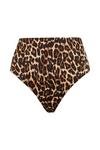 Wallis Leopard High Waist Bikini Bottoms thumbnail 5