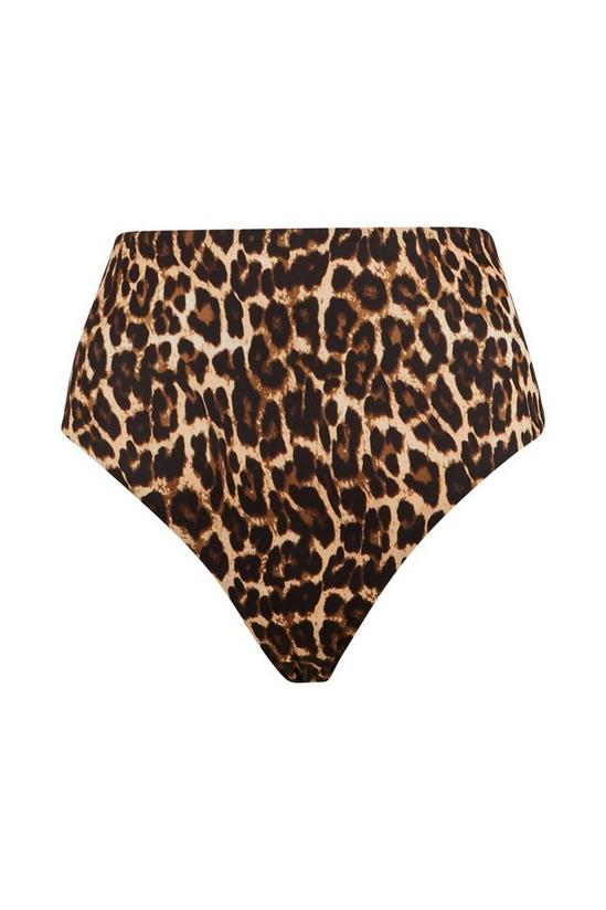 Wallis Leopard High Waist Bikini Bottoms 5
