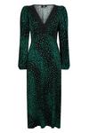Wallis Green Spot Lace Trim Jersey Midi Dress thumbnail 5