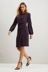 Wallis Blackcurrant Shimmer Ruched Side Dress thumbnail 2