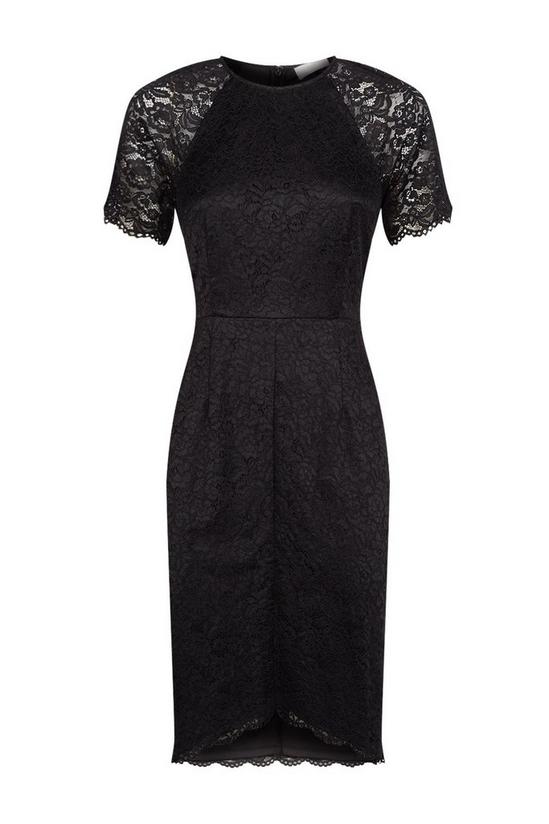 Wallis Petite Black Sheer Sleeve Dress 5