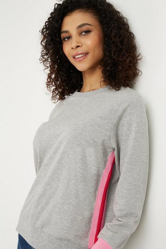 Wallis Petite Pink Stripe Sweater 1