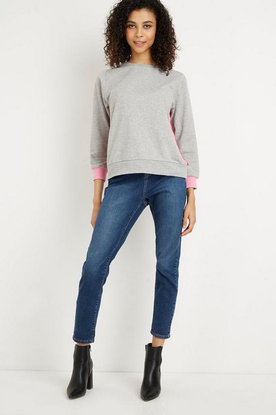 Wallis Petite Pink Stripe Sweater 2