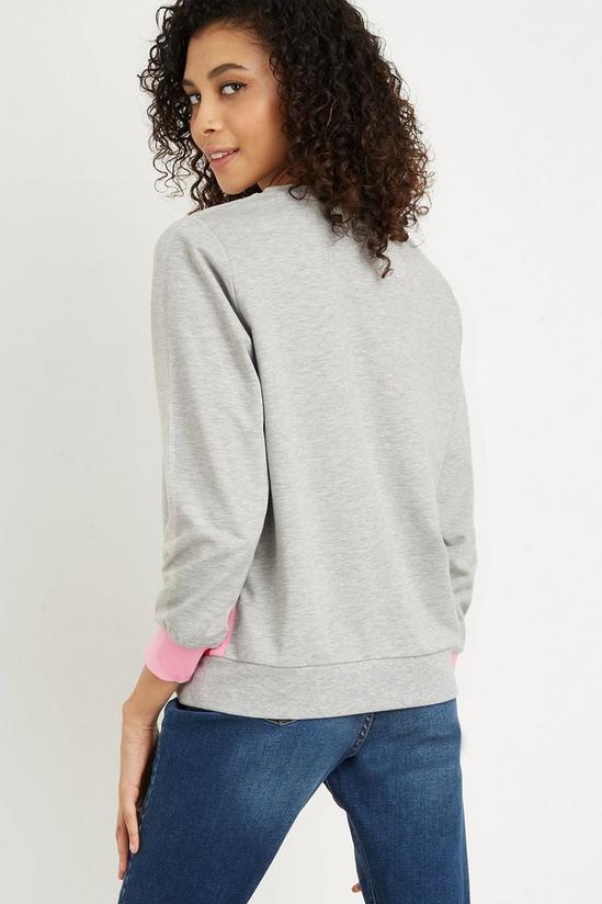 Wallis Petite Pink Stripe Sweater 3