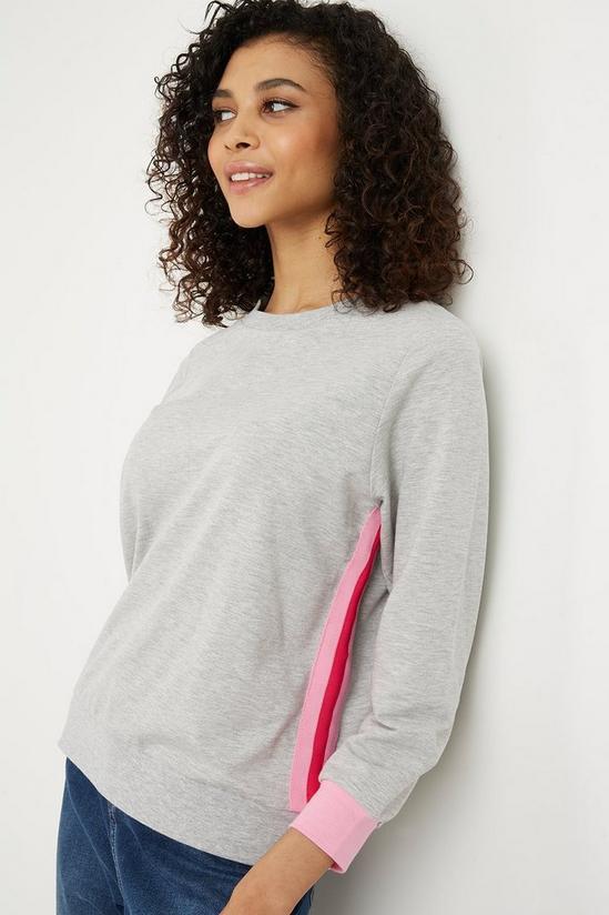 Wallis Petite Pink Stripe Sweater 4