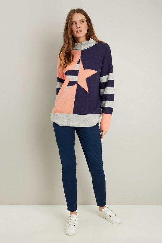 Wallis Star And Stripe Roll Neck 1