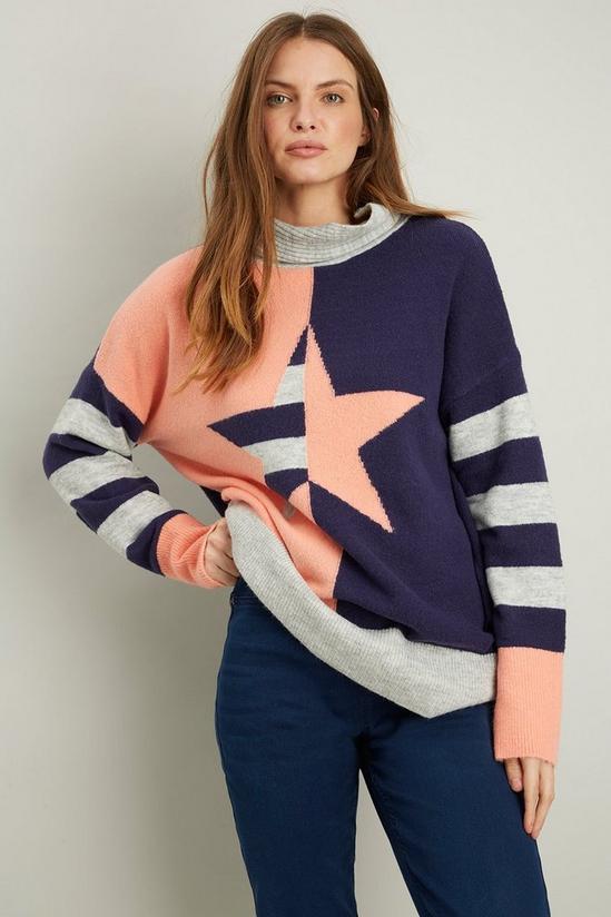 Wallis Star And Stripe Roll Neck 2