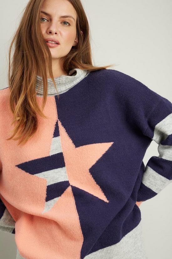 Wallis Star And Stripe Roll Neck 4