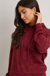 Wallis Brushed Soft Touch Hoodie thumbnail 4