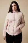 Wallis Curve Quilted Zip Front Jacket thumbnail 2