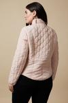 Wallis Curve Quilted Zip Front Jacket thumbnail 3