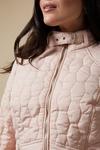 Wallis Curve Quilted Zip Front Jacket thumbnail 4
