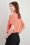 Wallis Stripe Round Neck Knitted T Shirt thumbnail 3