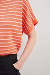 Wallis Stripe Round Neck Knitted T Shirt thumbnail 4