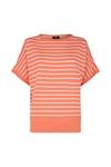 Wallis Stripe Round Neck Knitted T Shirt thumbnail 5