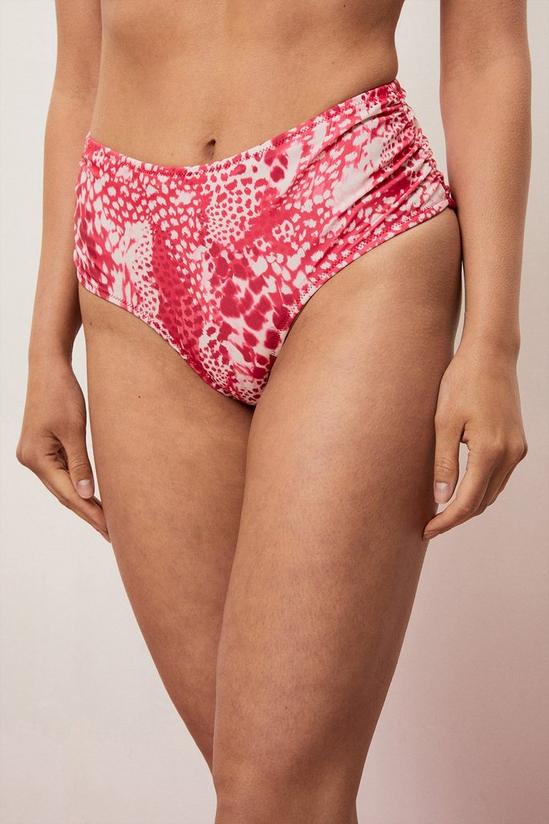 Wallis Tummy Control Pink Animal High Waist Bikini Bottom 4