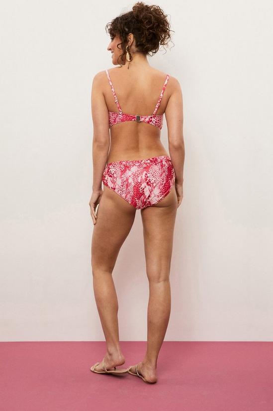 Wallis Pink Animal Bandeau Bikini Top 3