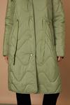 Wallis Petite Drawcord Waist Hooded Quilted Coat thumbnail 5