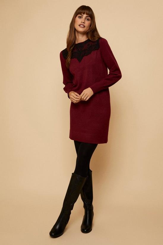Wallis Contrast Lace Knitted Dress 1