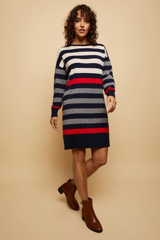 Wallis Grey Contrast Stripe Buttoned Dress 1