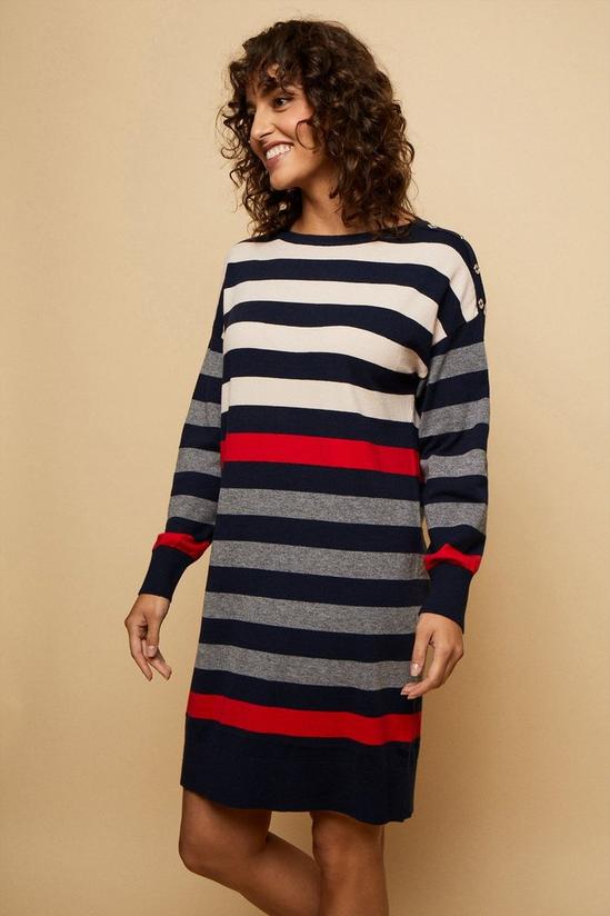 Wallis Grey Contrast Stripe Buttoned Dress 2