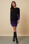 Wallis Purple Contrast Stripe Hem Zip Sleeve Dress thumbnail 1