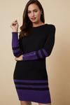 Wallis Purple Contrast Stripe Hem Zip Sleeve Dress thumbnail 2
