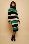 Wallis Multi Stripe Polo Neck Knitted Dress thumbnail 1