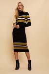 Wallis Tall Ochre Block Stripe Polo Knitted  Dress thumbnail 1