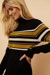 Wallis Tall Ochre Block Stripe Polo Knitted  Dress thumbnail 4