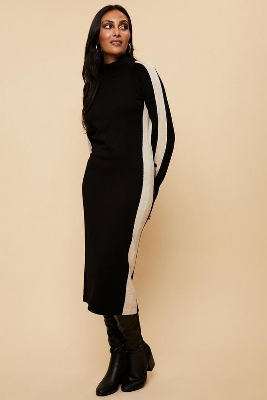 Wallis Petite Black Stripe Panel Knitted Dress 2