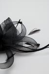 Wallis Feather And Flower Fascinator thumbnail 3