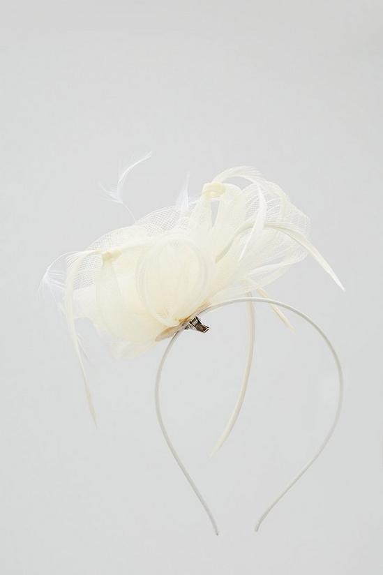 Wallis Feather And Flower Fascinator 2